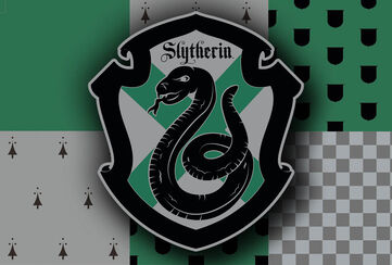 Scopri ora!