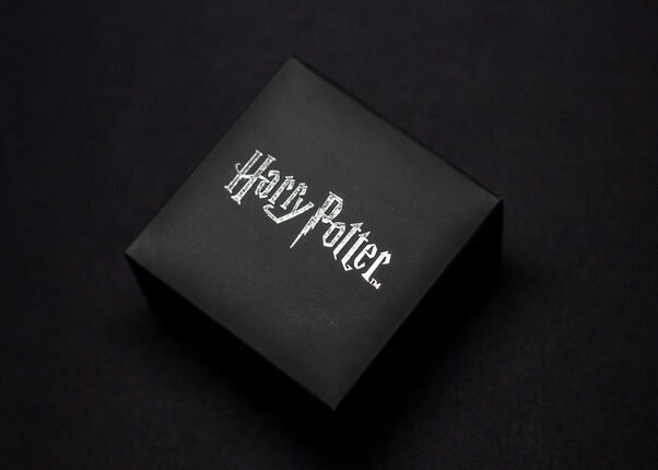 Zauberhafte Harry Potter Accessoires