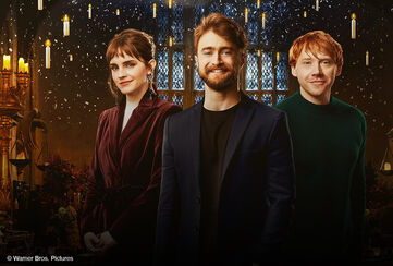 Harry Potter Ranking / Read