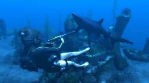 Tomb Raider: Underworld Eidos/Crystal Dynamics