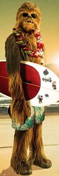 Chewbacca - Surfin'