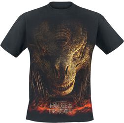 House of the Dragon - Dragon Throne, Game Of Thrones, T-Shirt