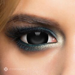 Chromaview Mini Sclera Black Daily Disposable Contact Lenses, Chromaview, Lentille de contact décorative