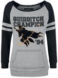 Quidditch Champion, Harry Potter, Sweatshirt