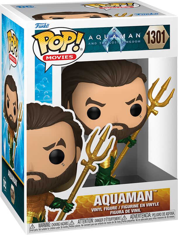 Aquaman and the lost Kingdom - Aquaman Vinyl Figur 1301