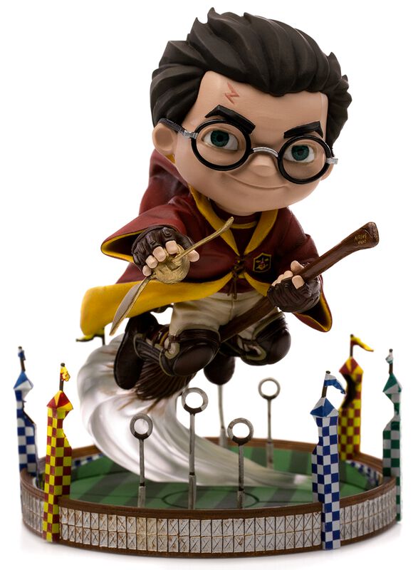 Harry au Match de Quidditch - Mini Co Illusion