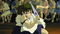 Studio Ghibli - Princess Mononoke