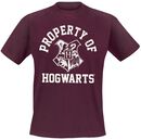 Property Of Hogwarts, Harry Potter, T-Shirt