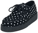 Polka, Steelground Shoes, Creepers