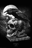 Poe's Raven, Alchemy England, Poster