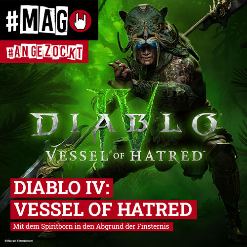 Diablo IV: Vessel of Hatred