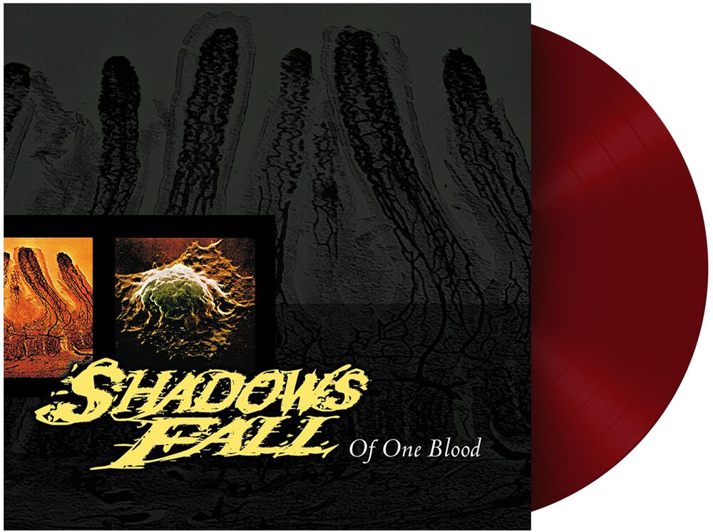 Shadows Fall - Album