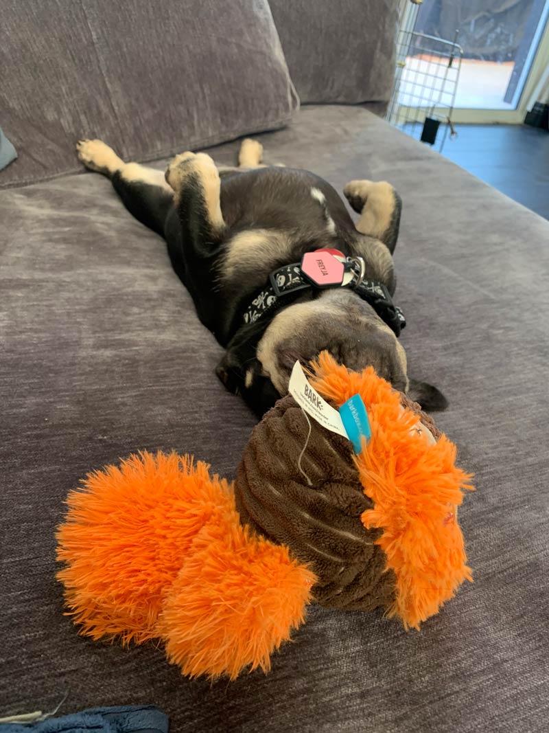 emp-bandsalat-five-finger-death-punch-freyja