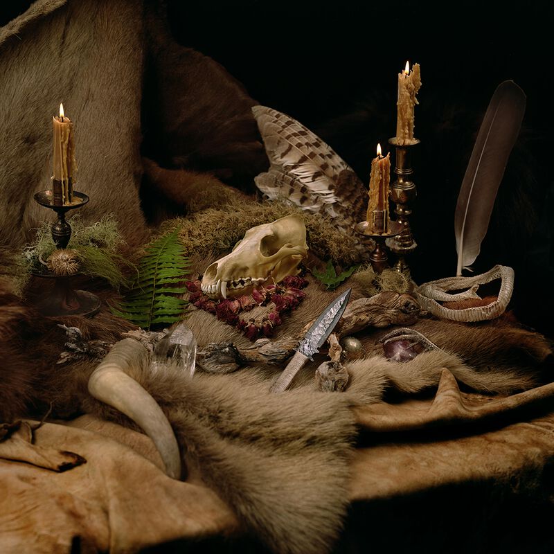 Wolves In The Throne Room - Cover